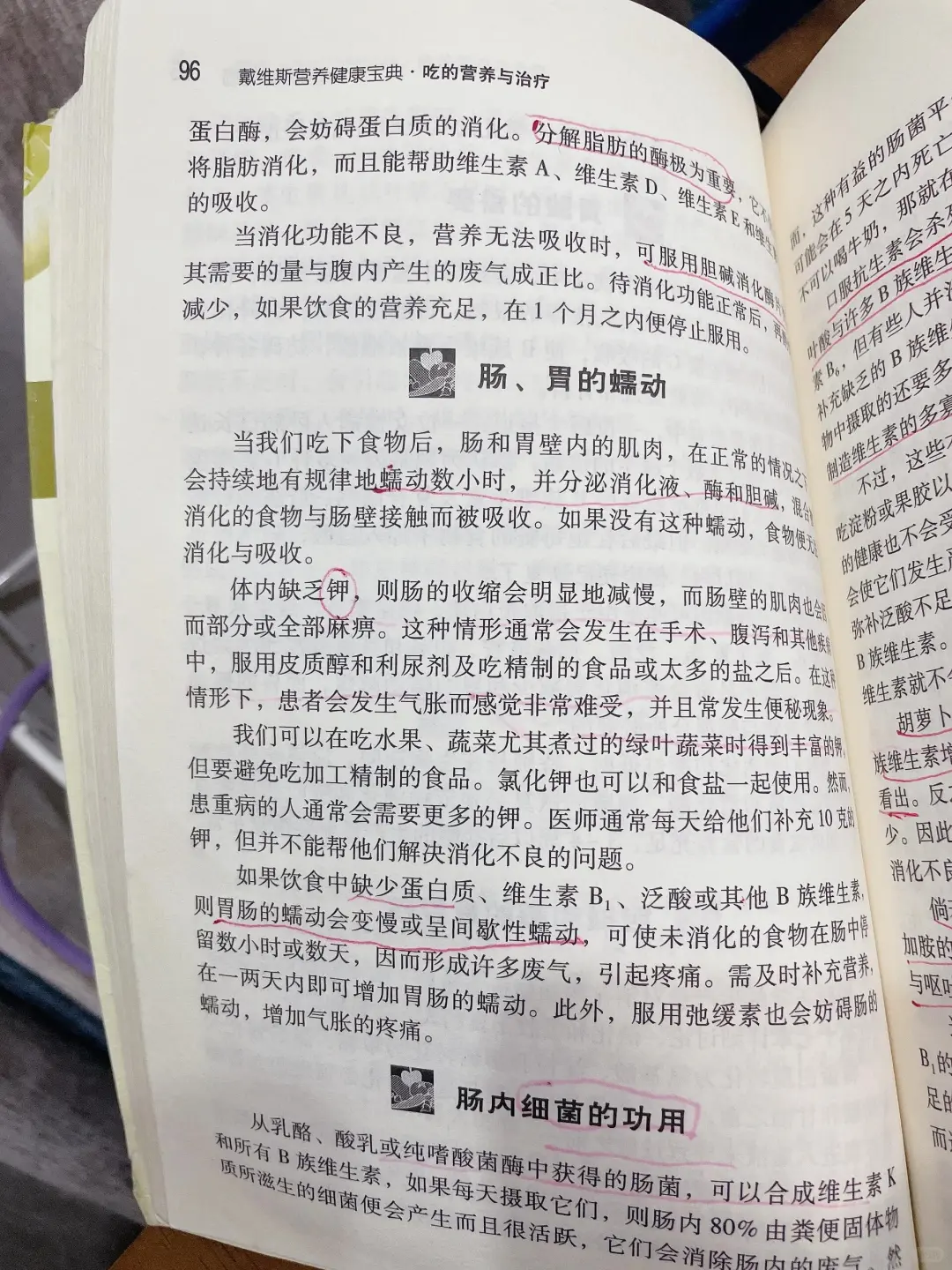 用好B族维生素,消化问题好大半,亲测有效