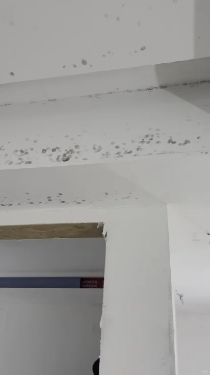 长期下雨墙面发霉如何处理呢