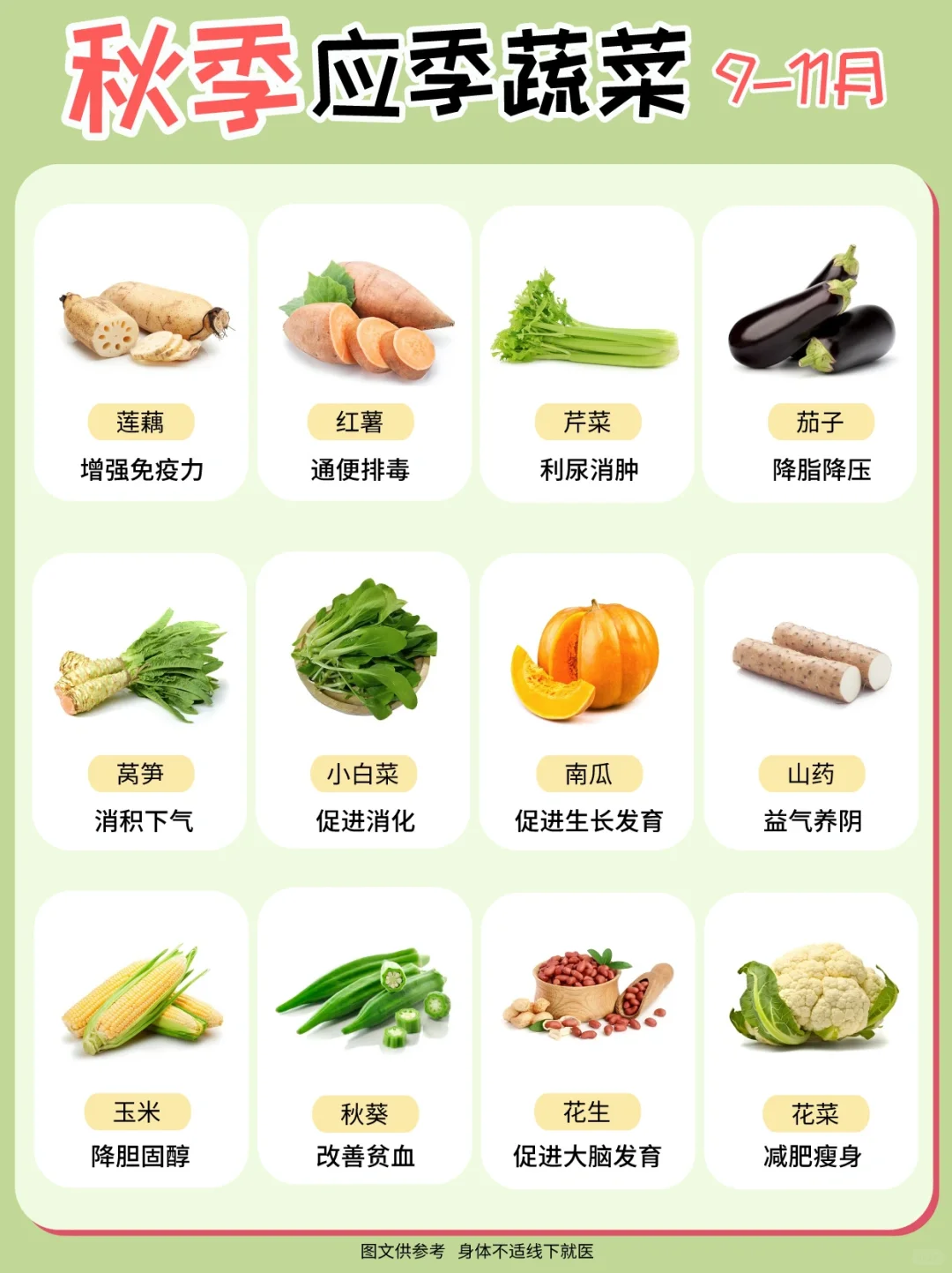 应季蔬菜时间表和蔬菜的营养价值！记得收藏