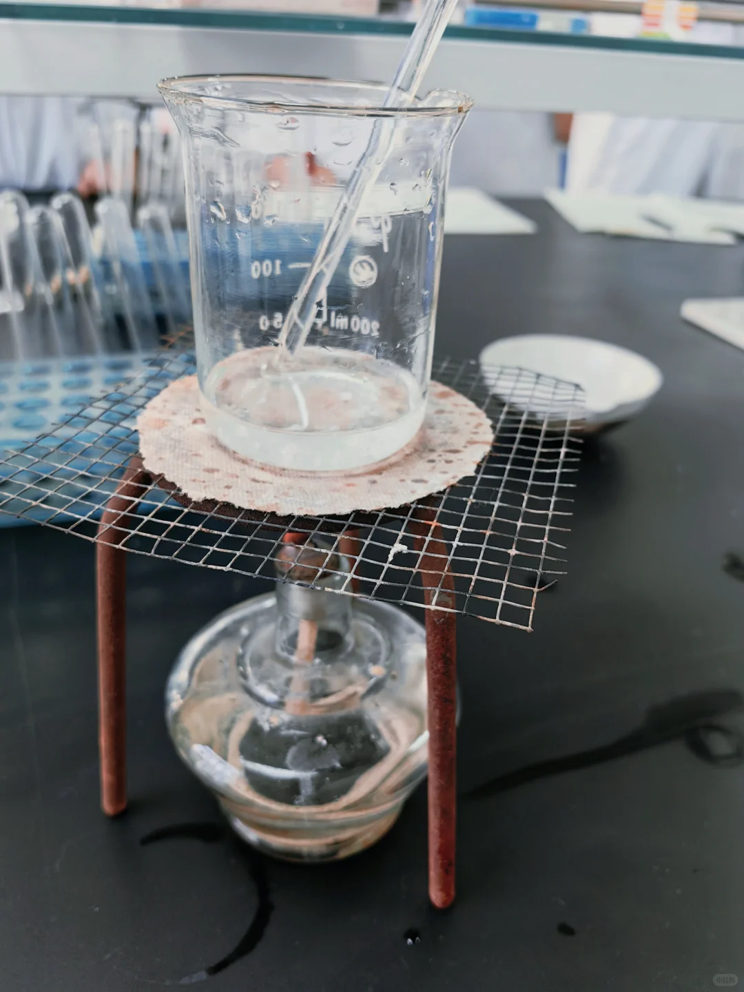 做实验真的觉得这些仪器好漂亮…