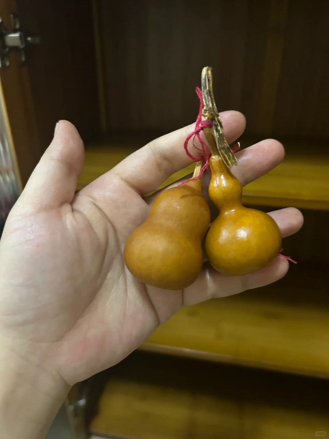 广东到底有多湿！！！