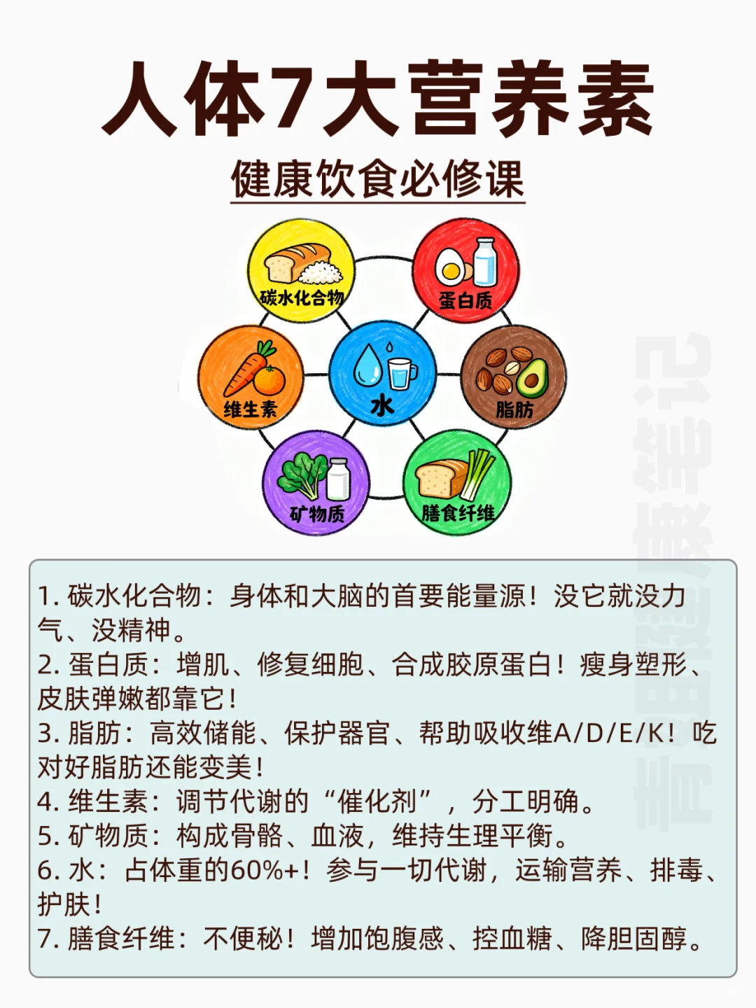 ?7大营养素大揭秘，健康饮食必修课！