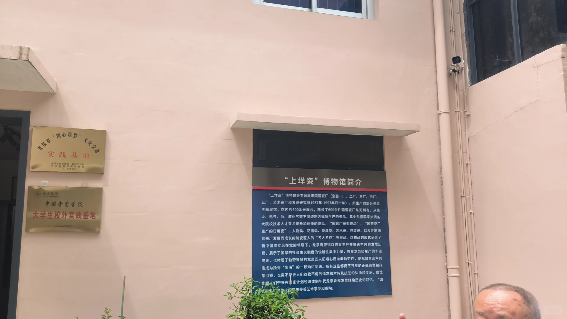 竹木之歌:利源竹木加工厂的绿色崛起