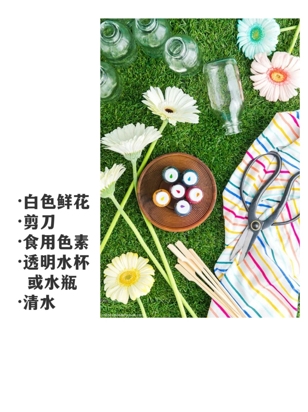 ?【DIY实验】观察白色鲜花如何变色！