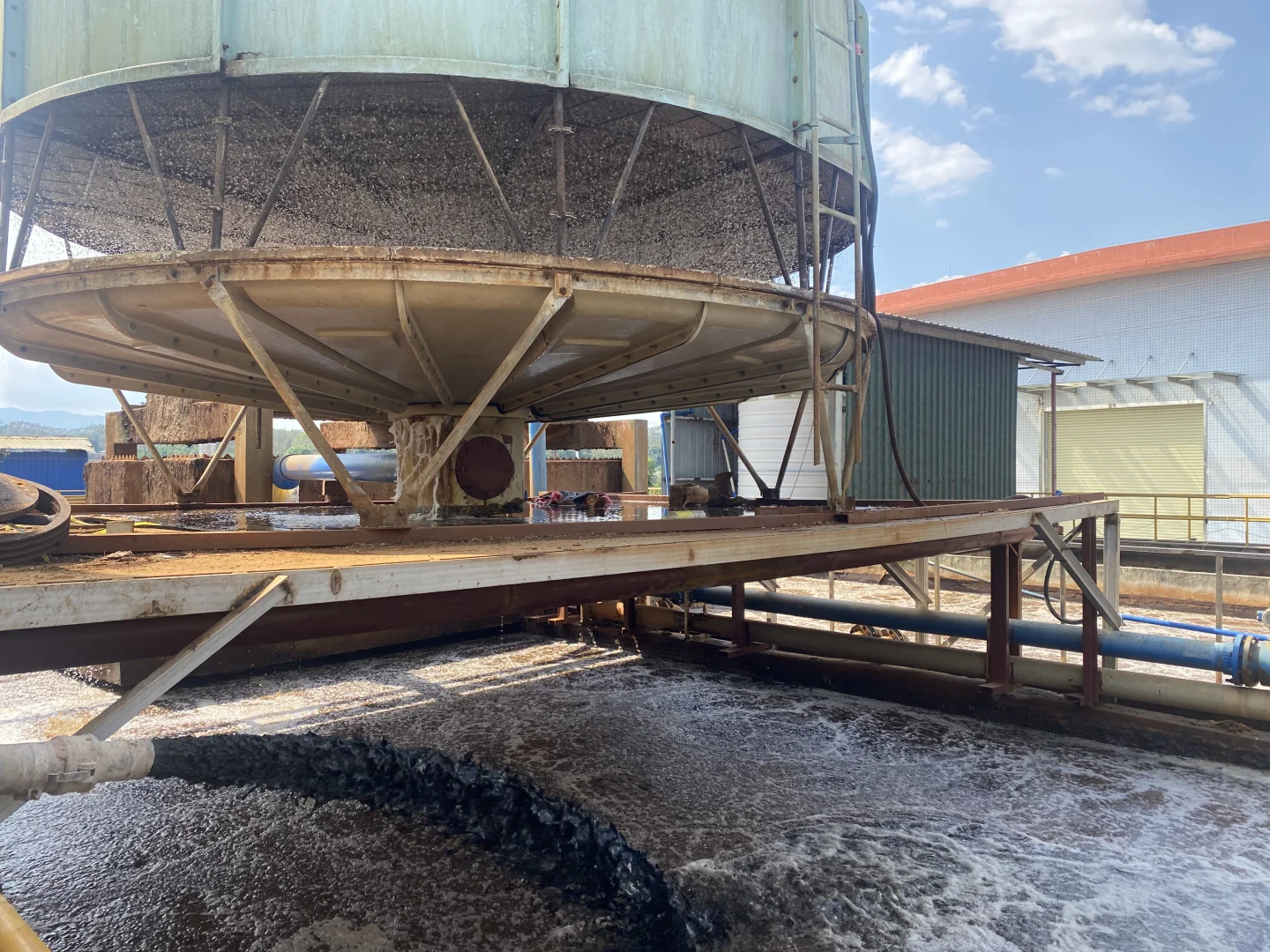 #活性菌种投放#污水处理