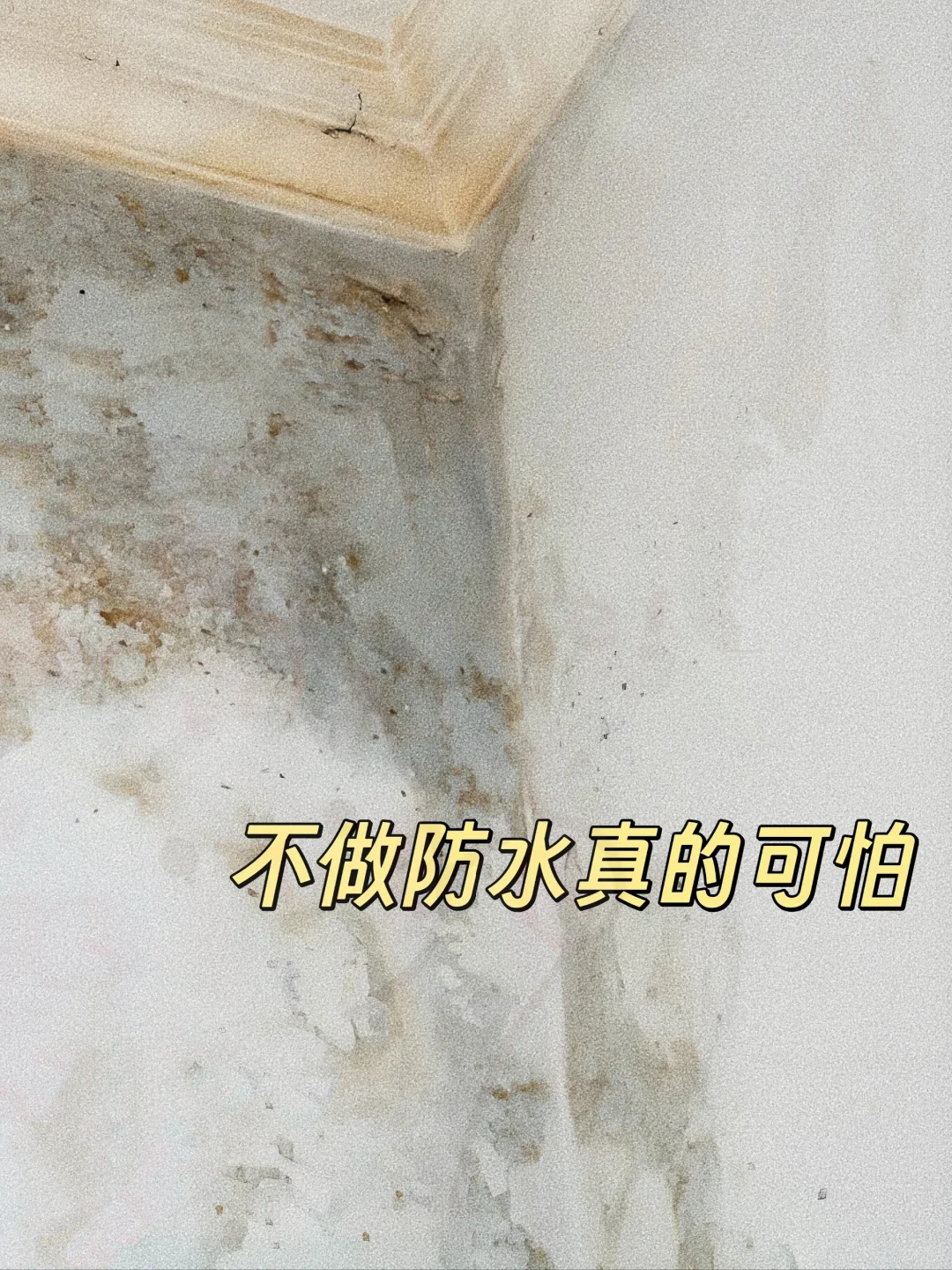 听劝！不想衣柜发霉一定要做好这一点！！