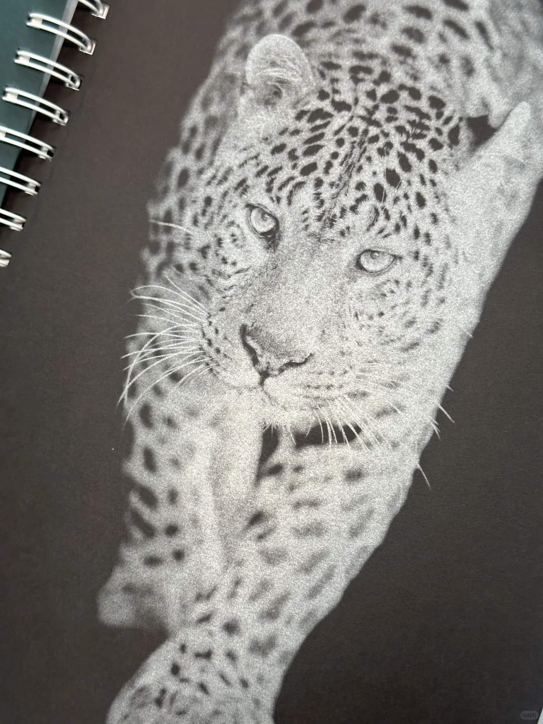 艺术家的平面设计｜数码专色运用