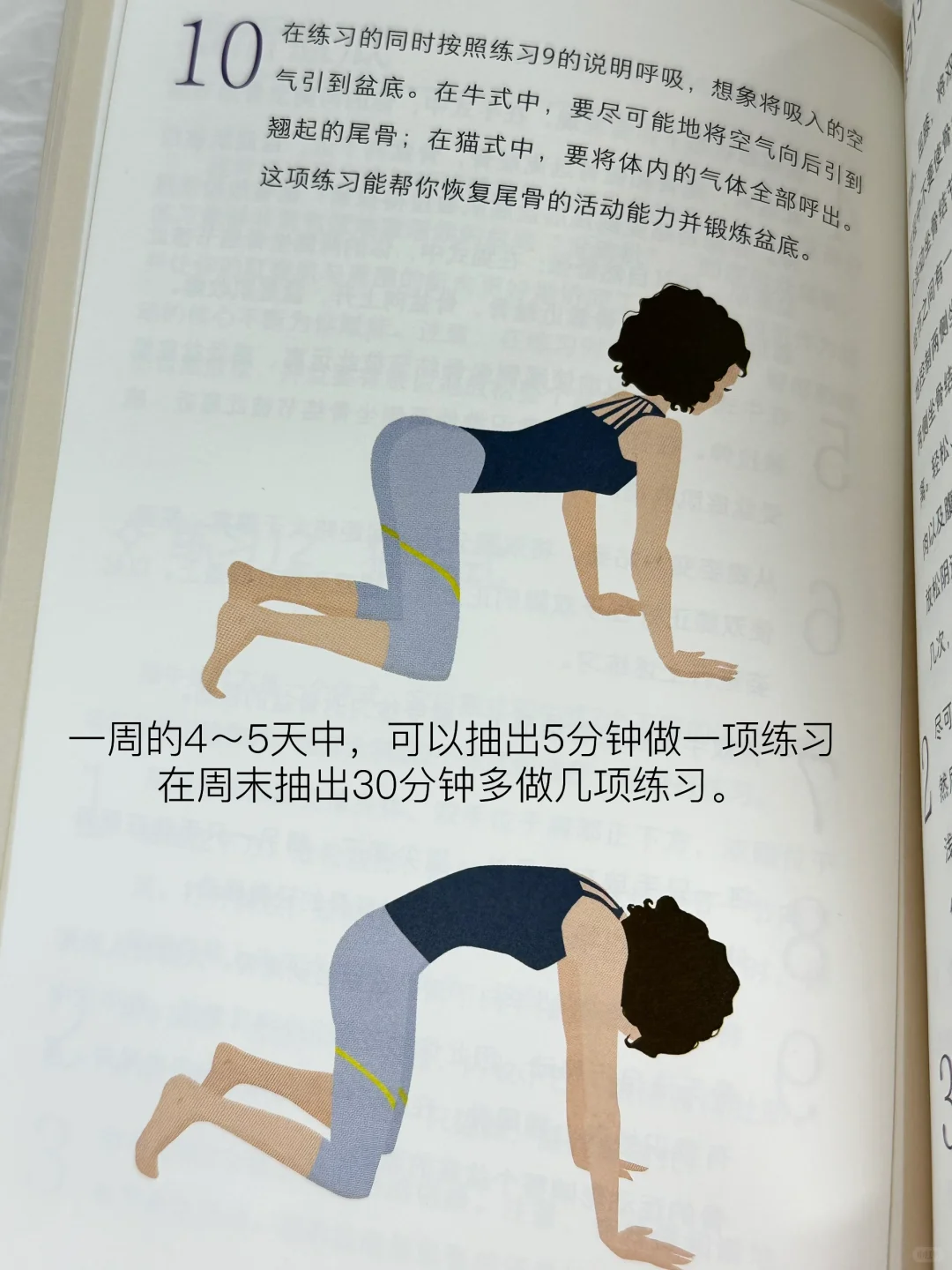 强烈推荐女孩们人手一本！！不要太晚读到！！