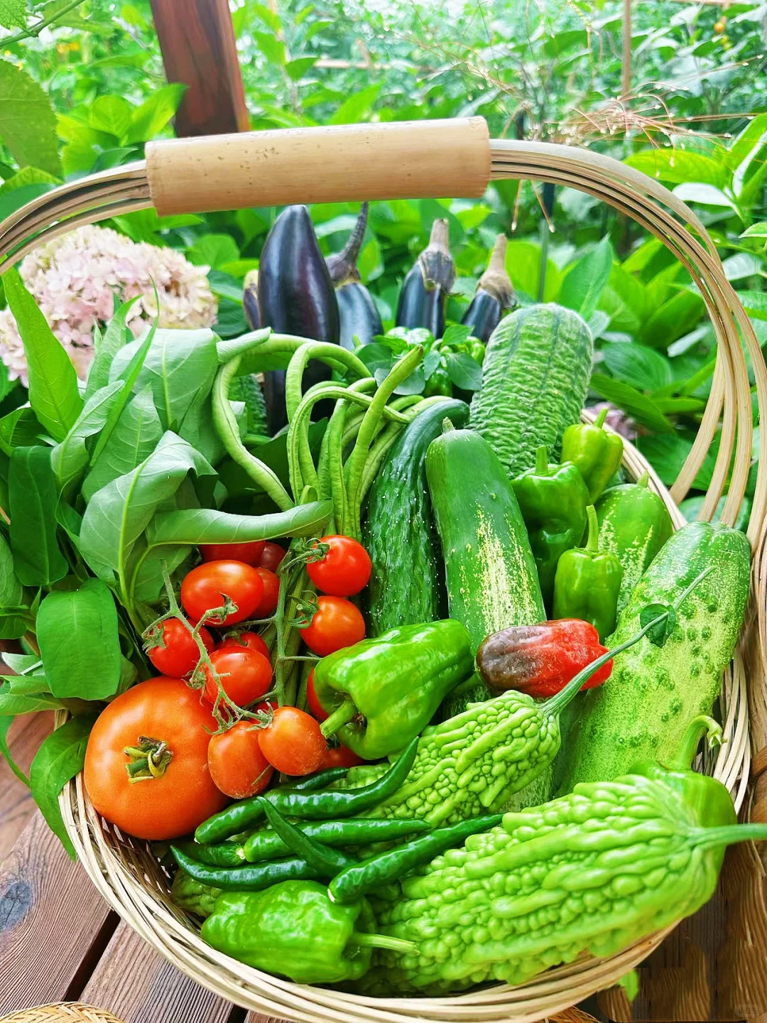 田园治愈系｜采摘是心情，收获是快乐