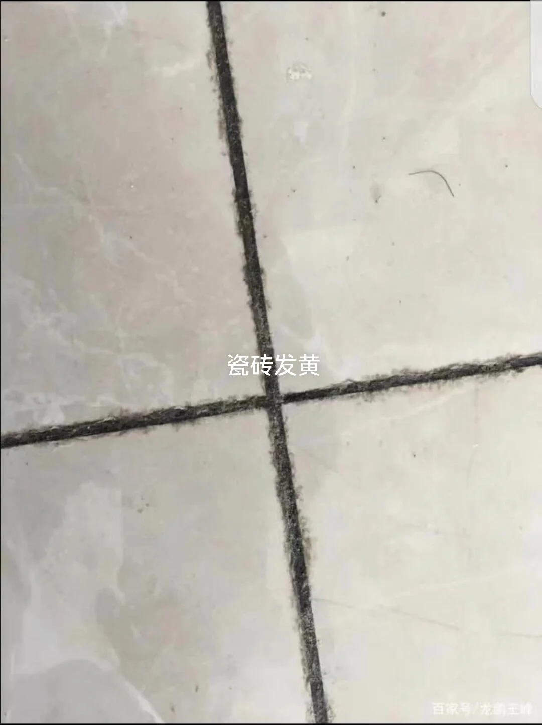 泰克诺斯曼迪20，凭借超强防潮防霉核心