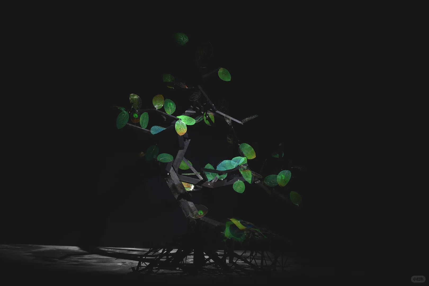 全息艺术实验室的《显籽图》 ，2023年