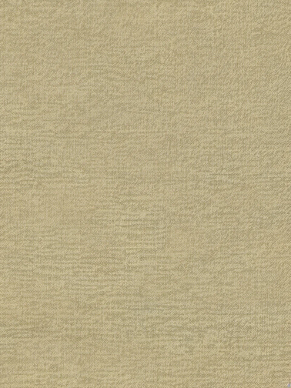 Day67｜米黄色布纹