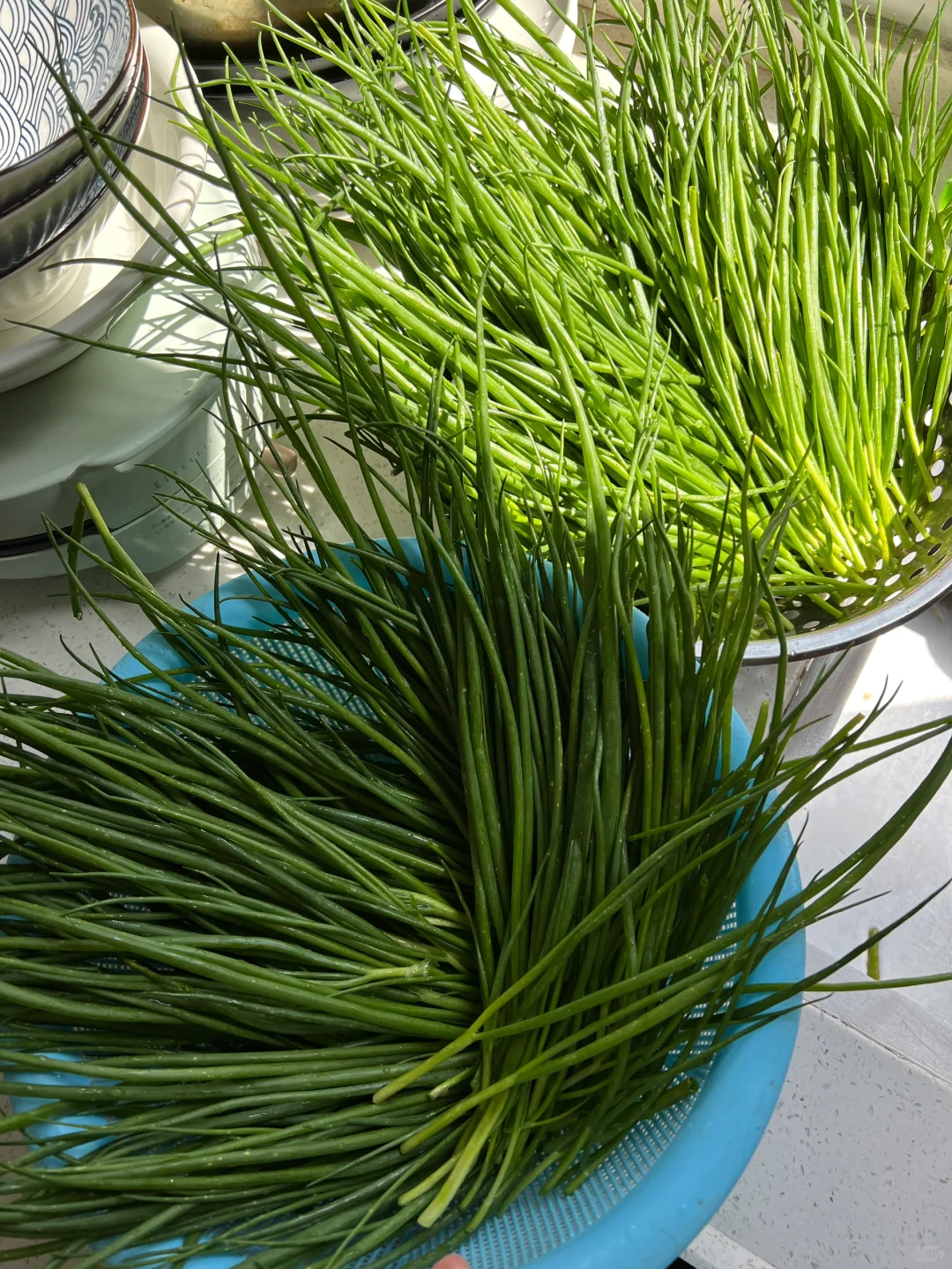 ?补上篇放不下图的冬季蔬菜?