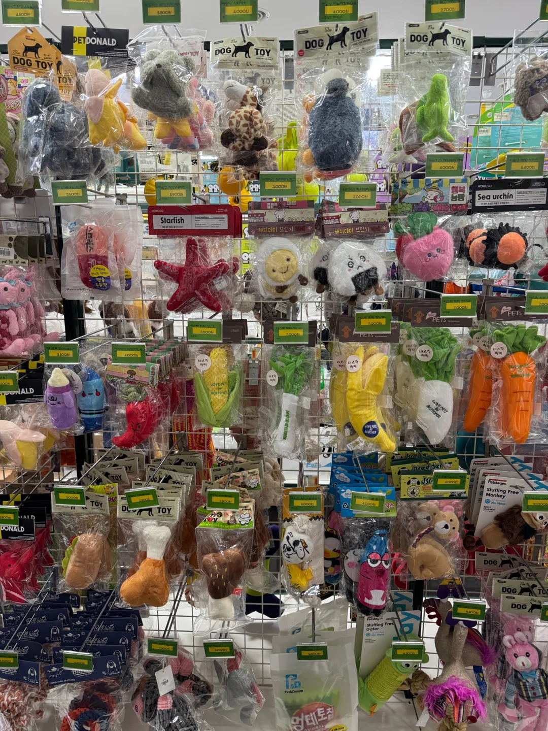 养狗人济州岛打猎攻略?勇闯?家店宠物店！
