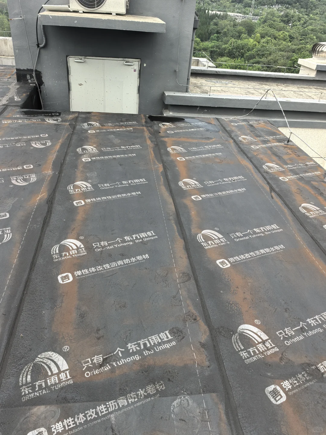 160元/平的防水，完工后毡子上黄的是什么？