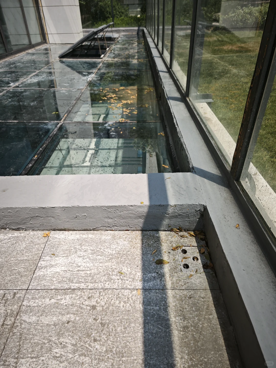 这个玻璃屋顶真是惊艳到了！