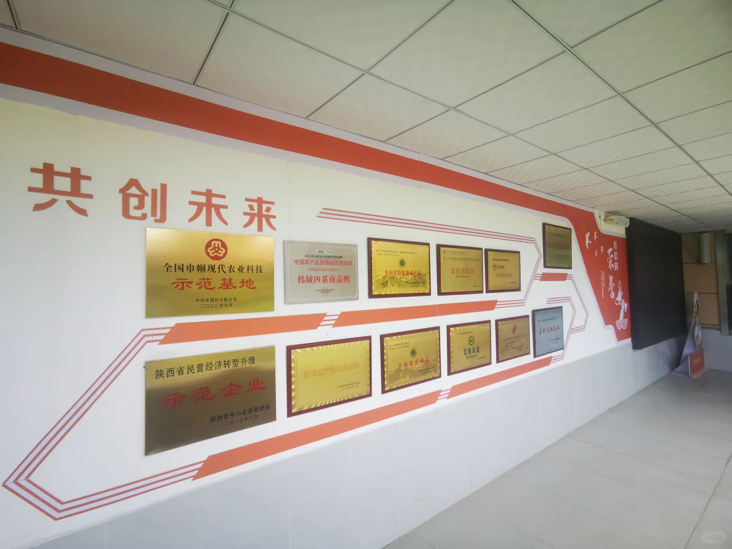 参观鸭胚生产源头