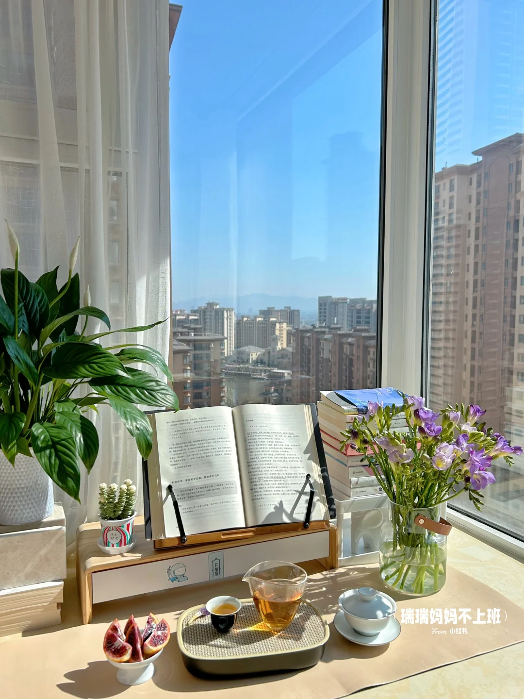 36岁,家是我的能量场,独处是灵魂的充电站✨