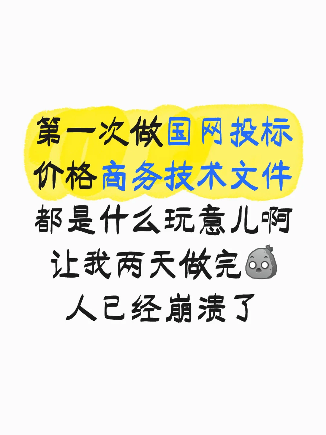 莫名其妙就起开始国家电网投标