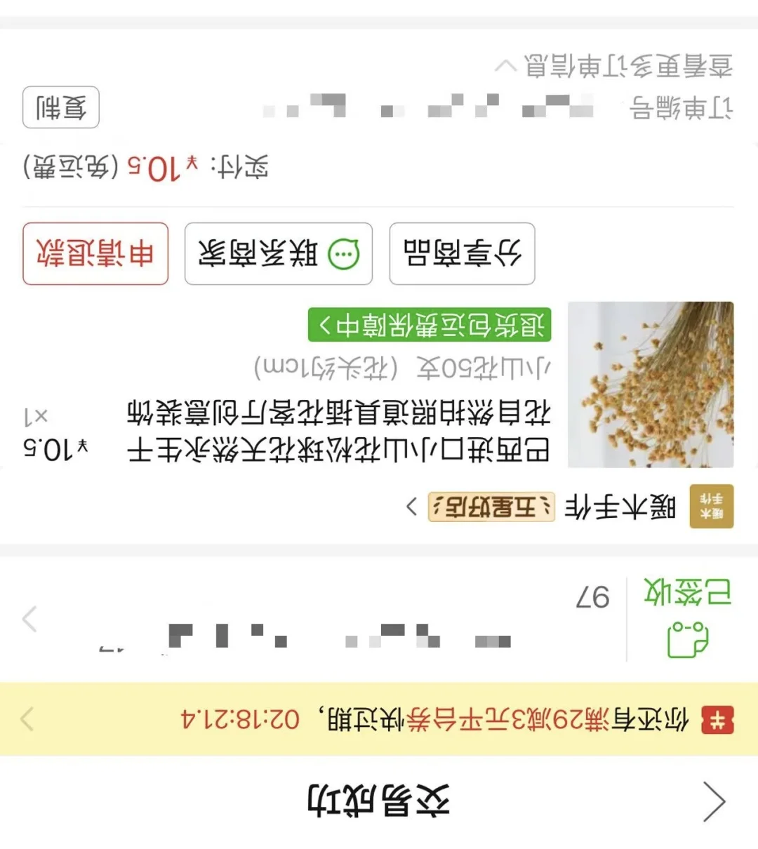 真的爱死我这面镜子啦