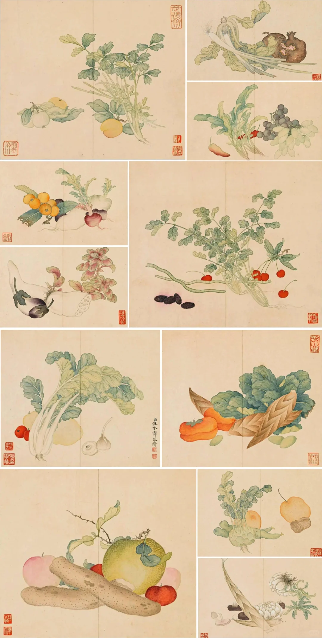 清｜汪承霈｜果蔬杂卉册