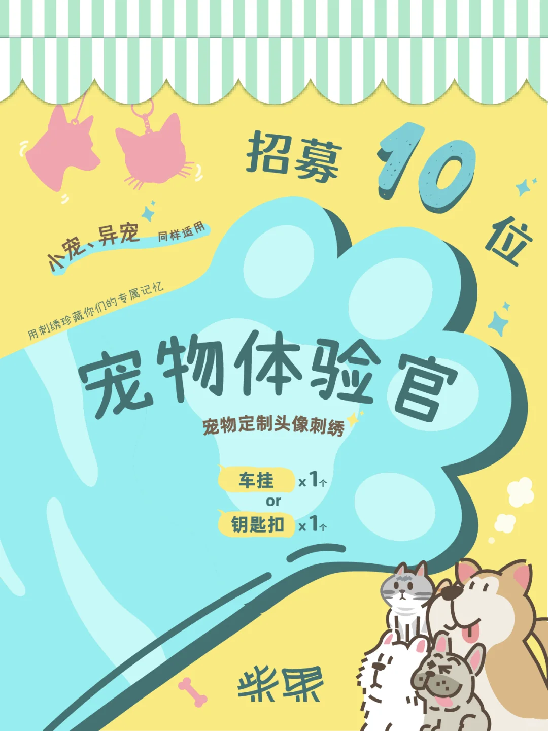 宠物刺绣产品招募体验官啰?