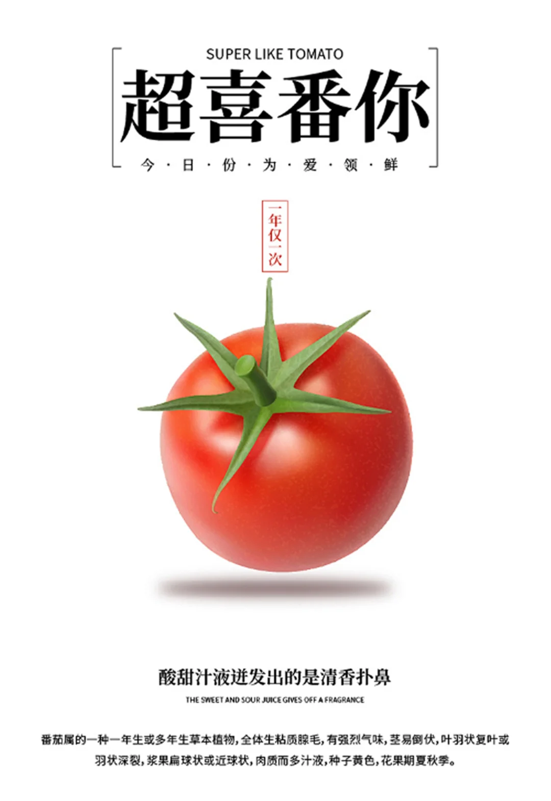 蔬菜海报大揭秘