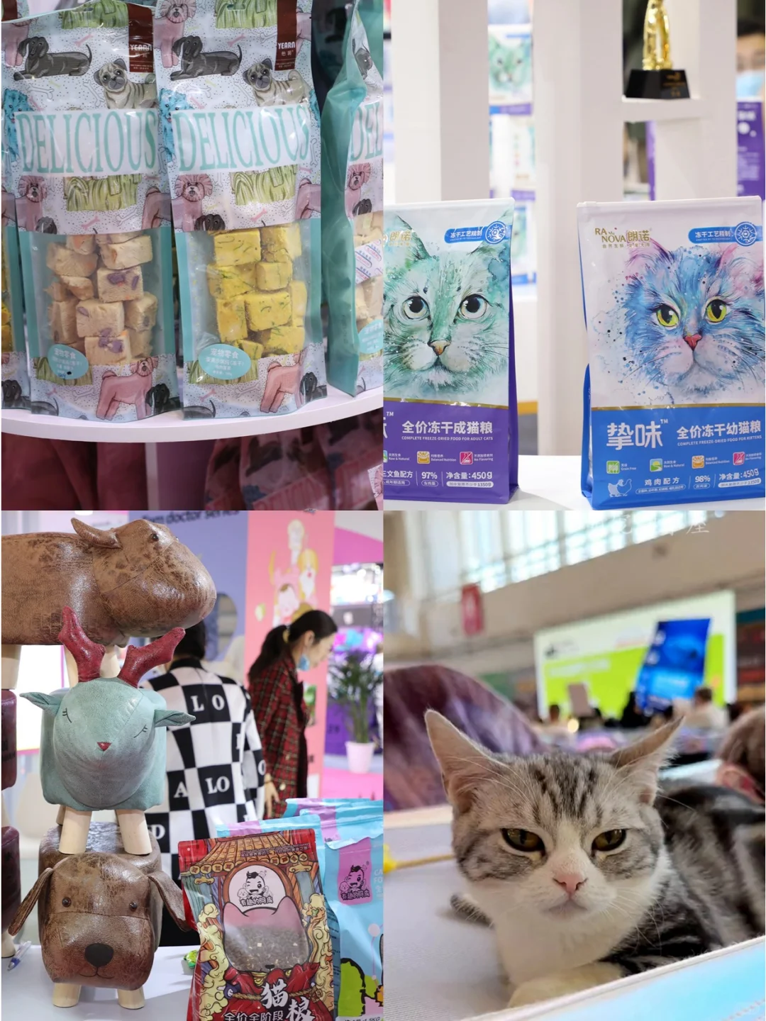 ?2025北京国际宠物展，送票啦❗️❗️