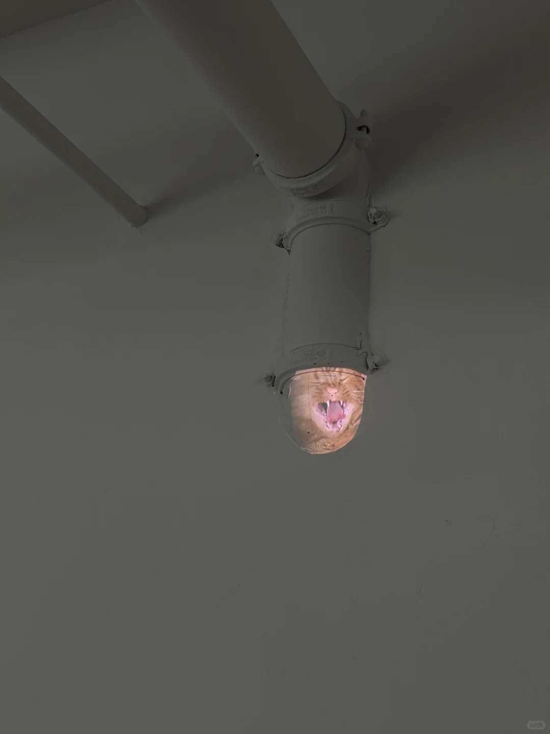 宸空间