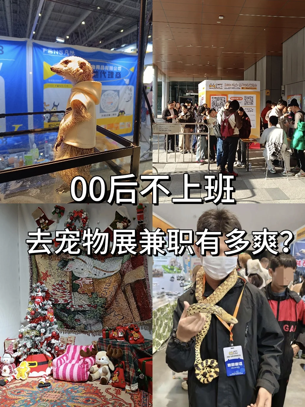 00后不上班，去“动物园”打工是为了什么？