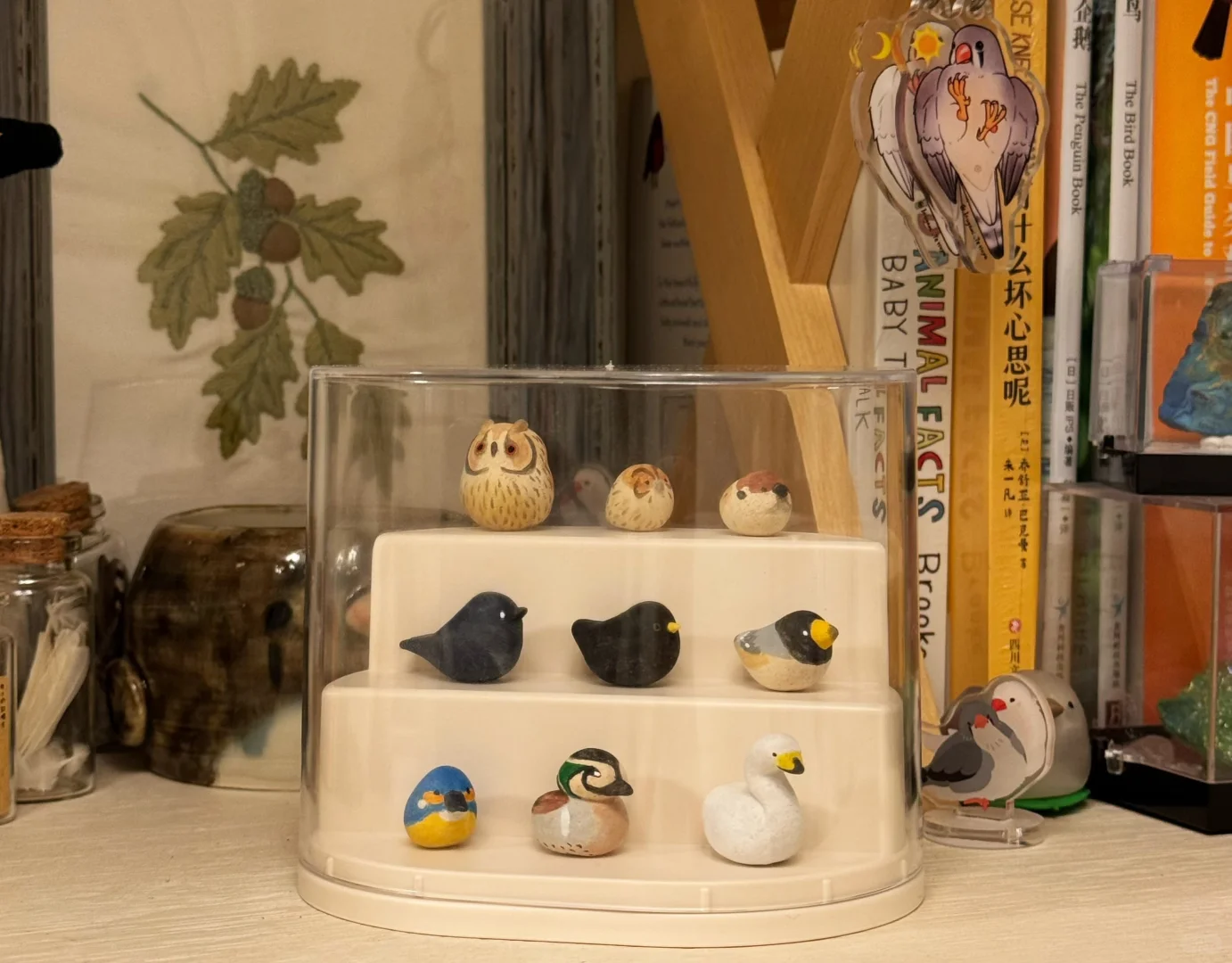 人类为什么不可以生小鸟?