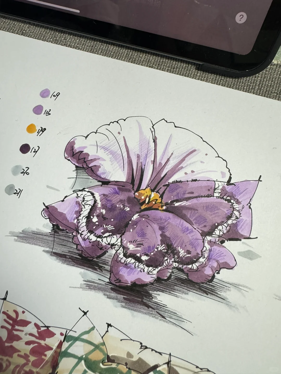 每周一画17｜花花抱枕