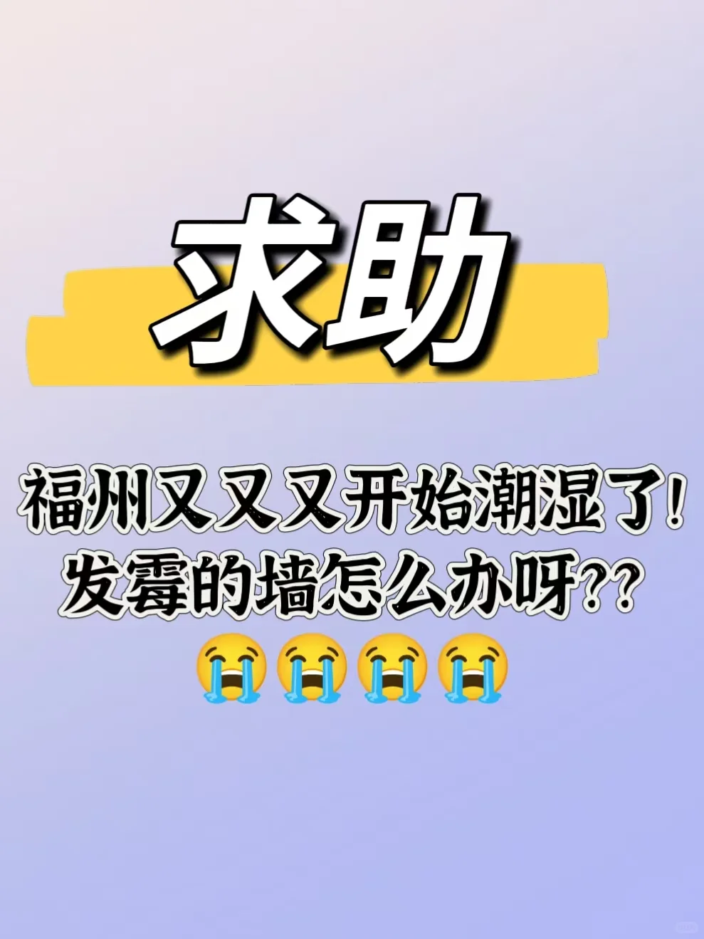 家里的墙发霉了可怎么办呀？