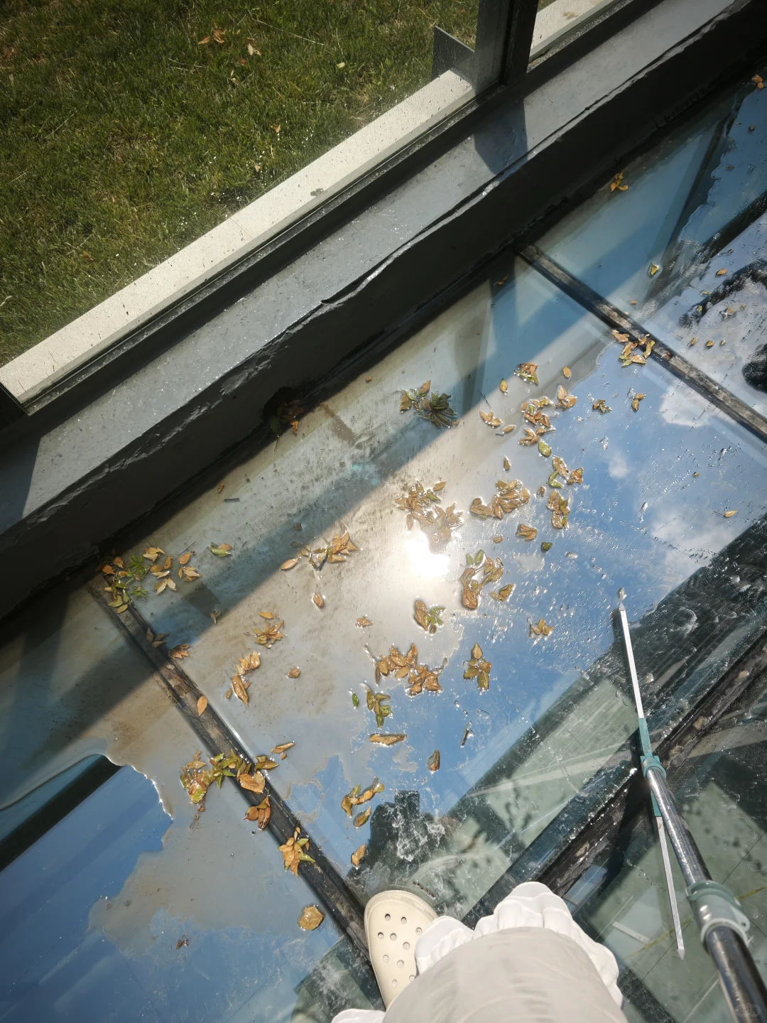 这个玻璃屋顶真是惊艳到了！