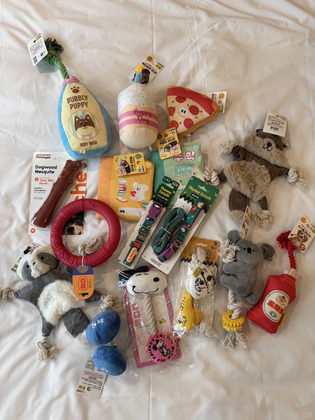 养狗人济州岛打猎攻略?勇闯?家店宠物店！