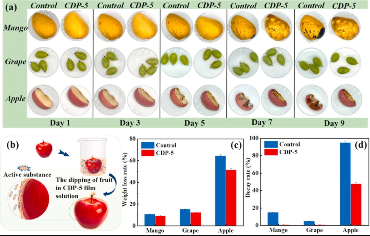 壳聚糖×二醛纤维素×原花青素：变色保鲜膜