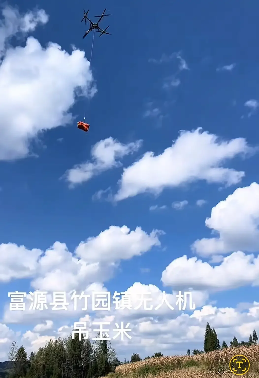 云南村民用无人机收玉米 现代农业仰仗科技