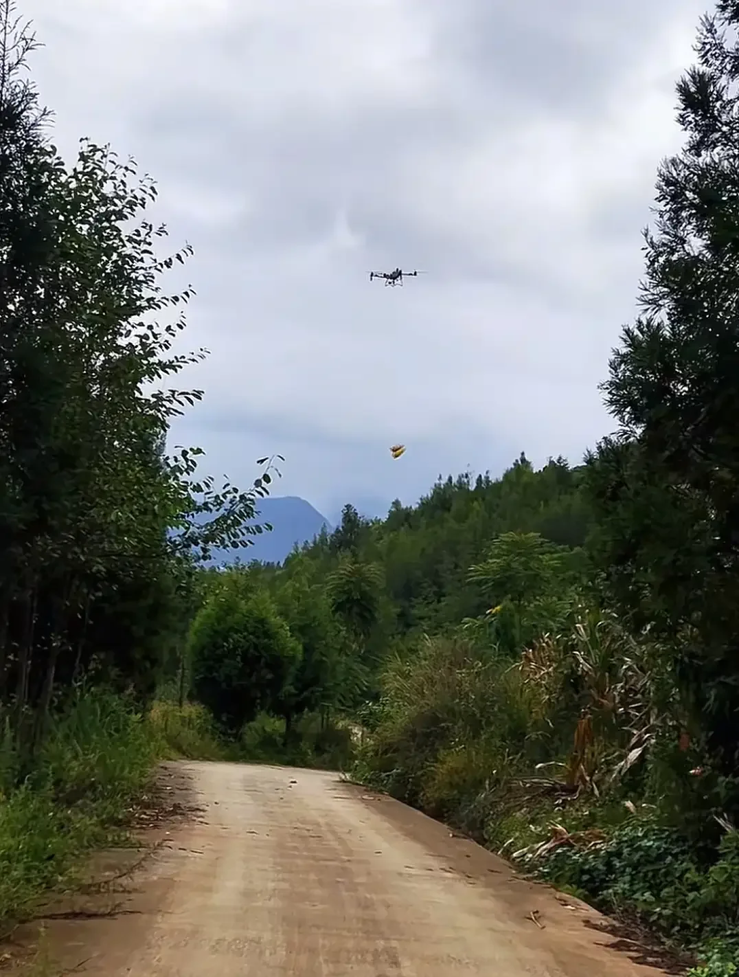 云南村民用无人机收玉米 现代农业仰仗科技