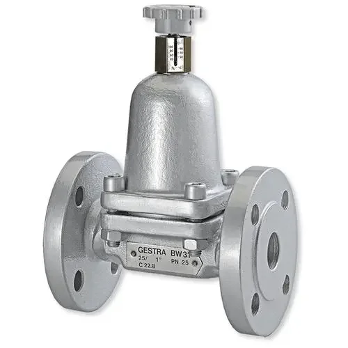 GESTRA阀RK 41 DN 125 PN 6/16降低运行成本