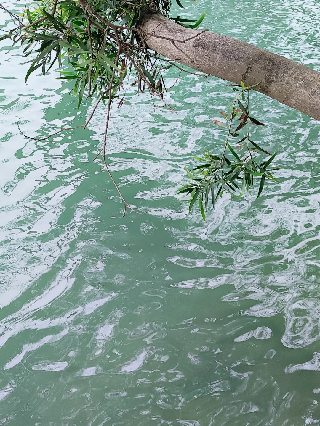 环境监测 地表水采样