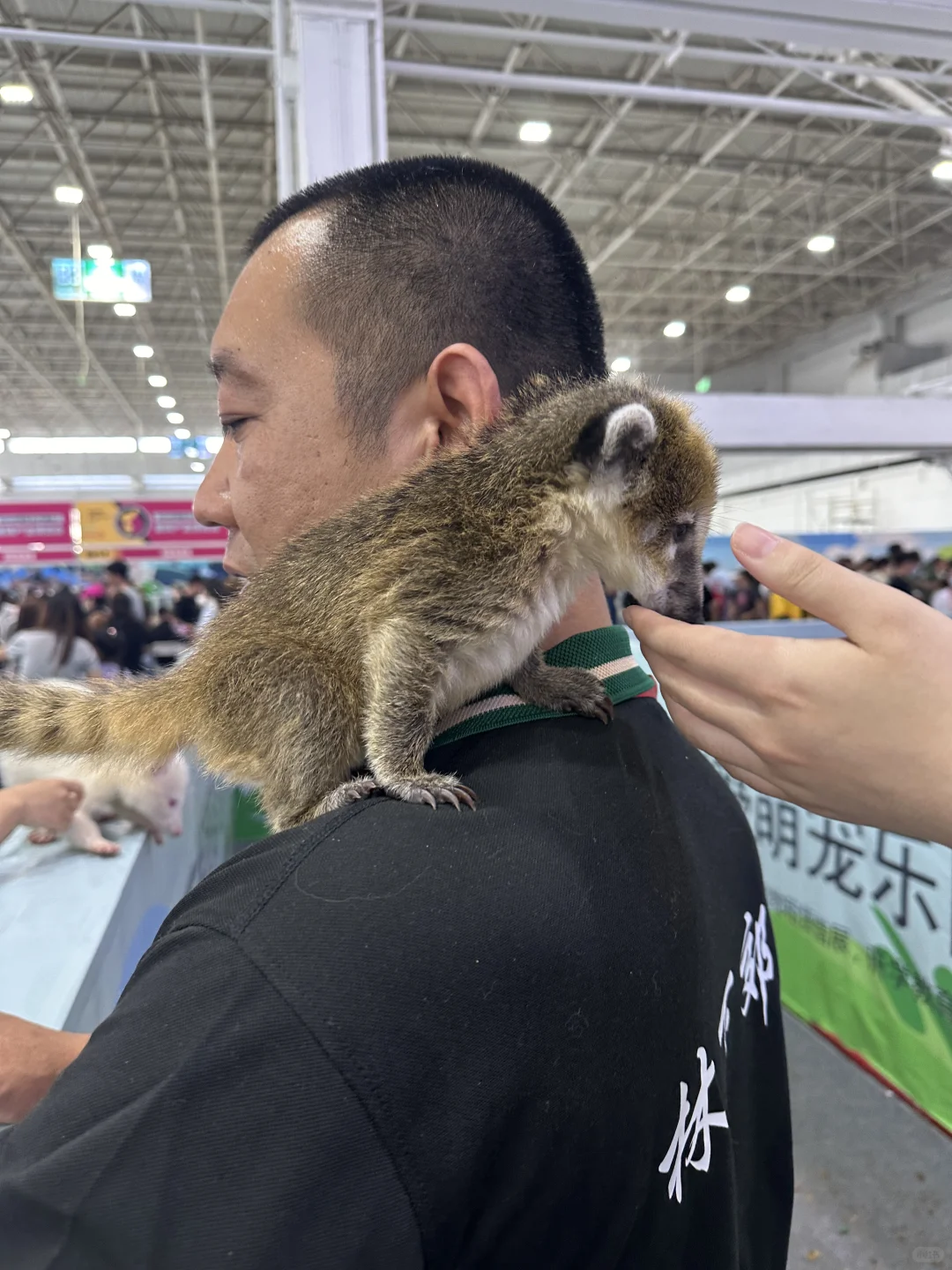 呼和浩特宠博会