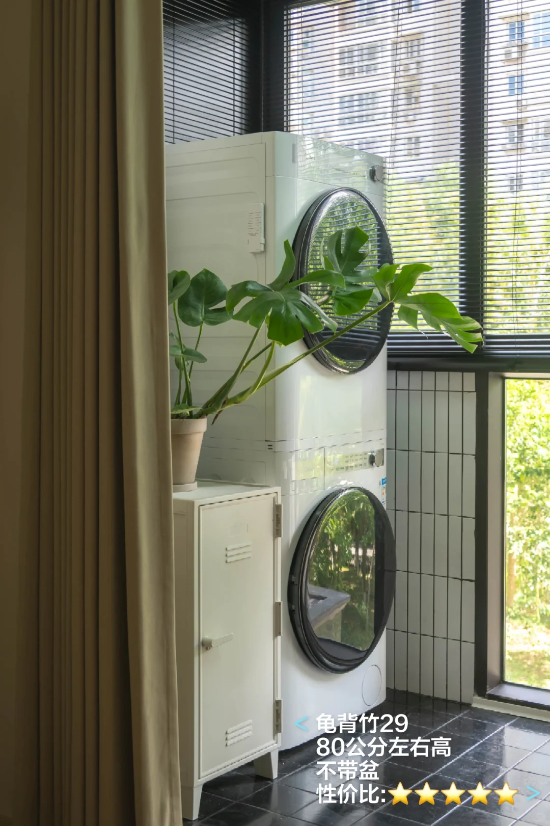 我可能是全网最会买装饰品，同时最扣的博主