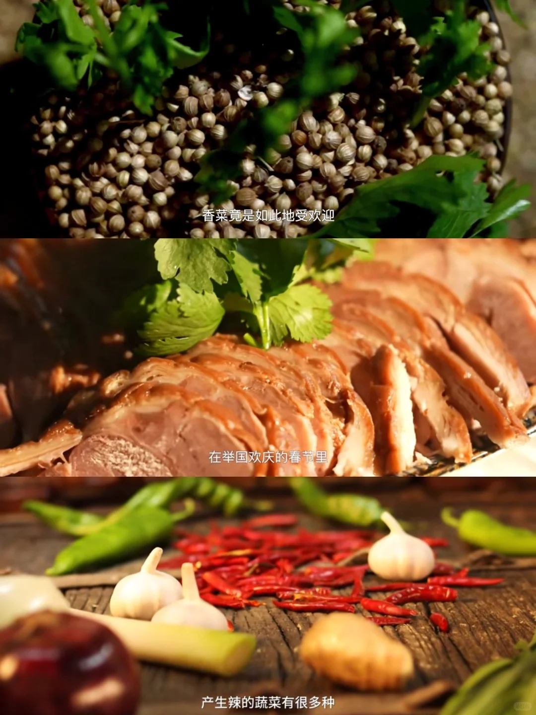 妈耶?最讨厌的蔬菜拍成了纪录片?‼️