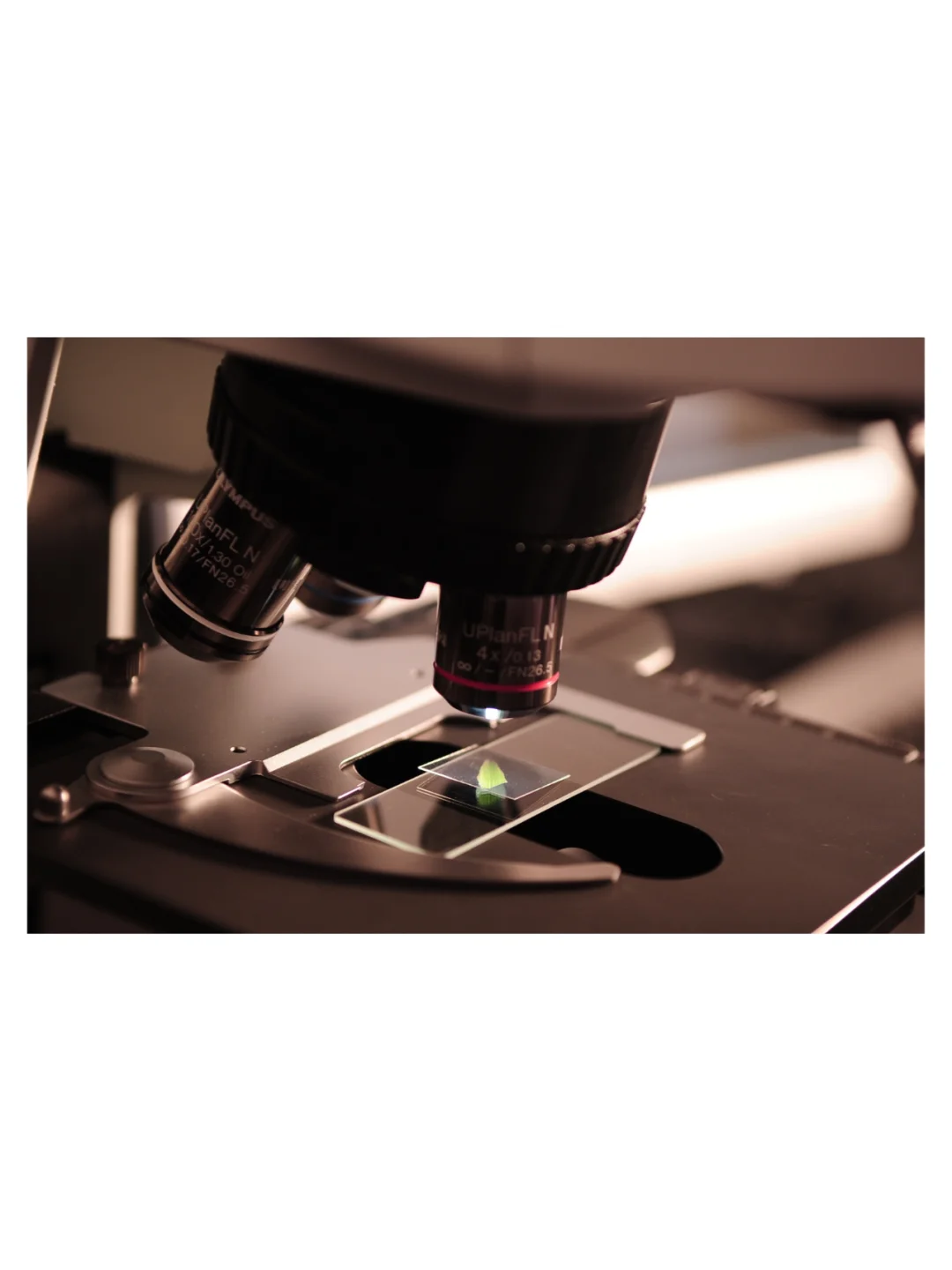 素材分享 | 科研实验室素材