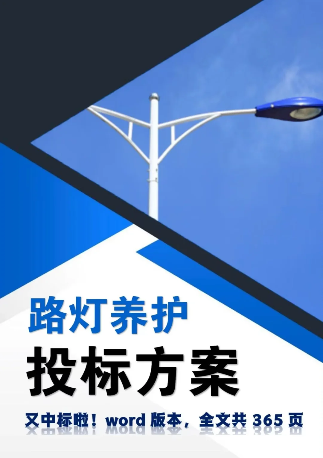 投了十年标写的路灯养护投标方案，投标必备