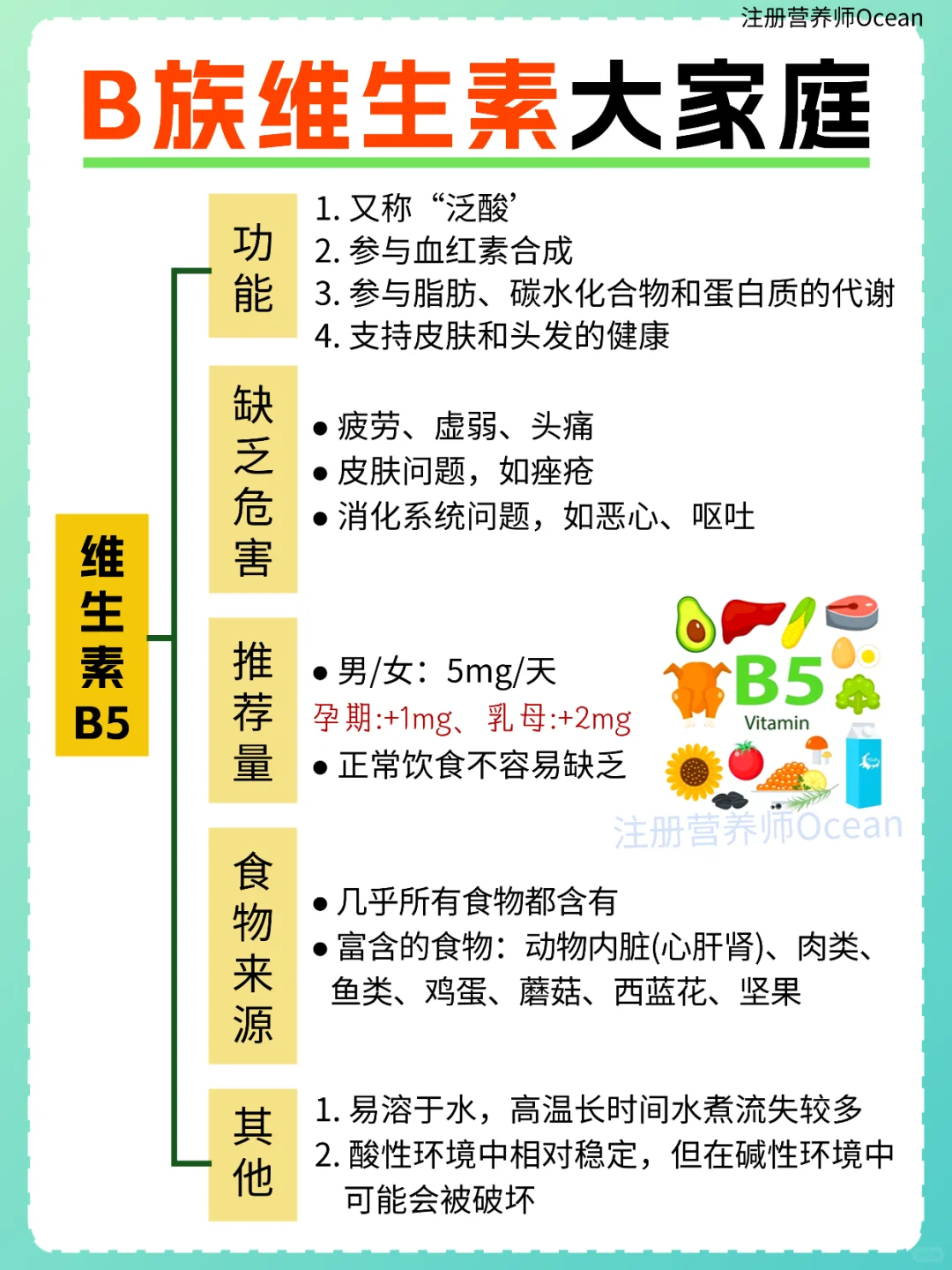 一篇全了解丨强大的B族维生素