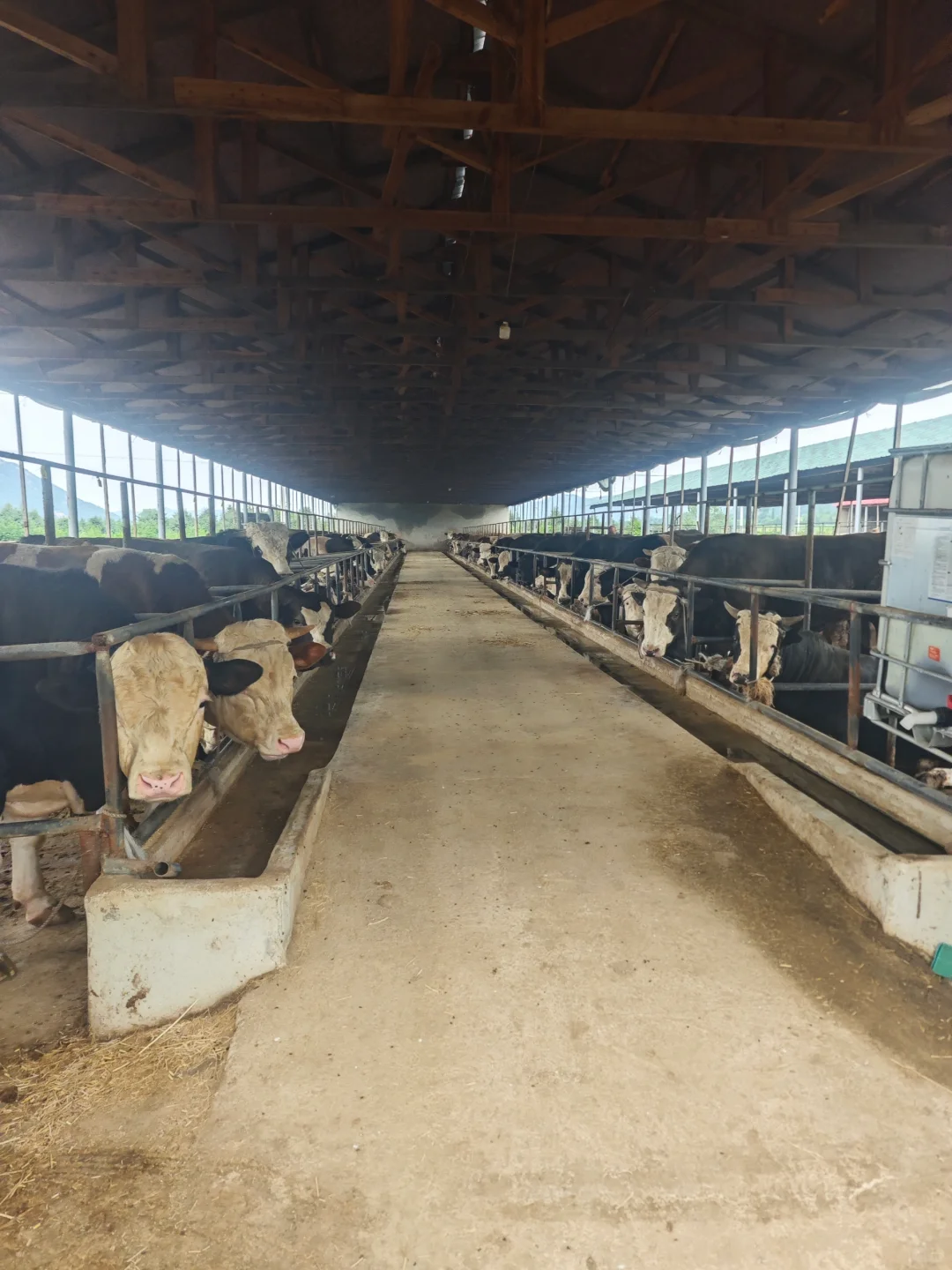 被农户骗太多次后，干脆自己开养殖场?