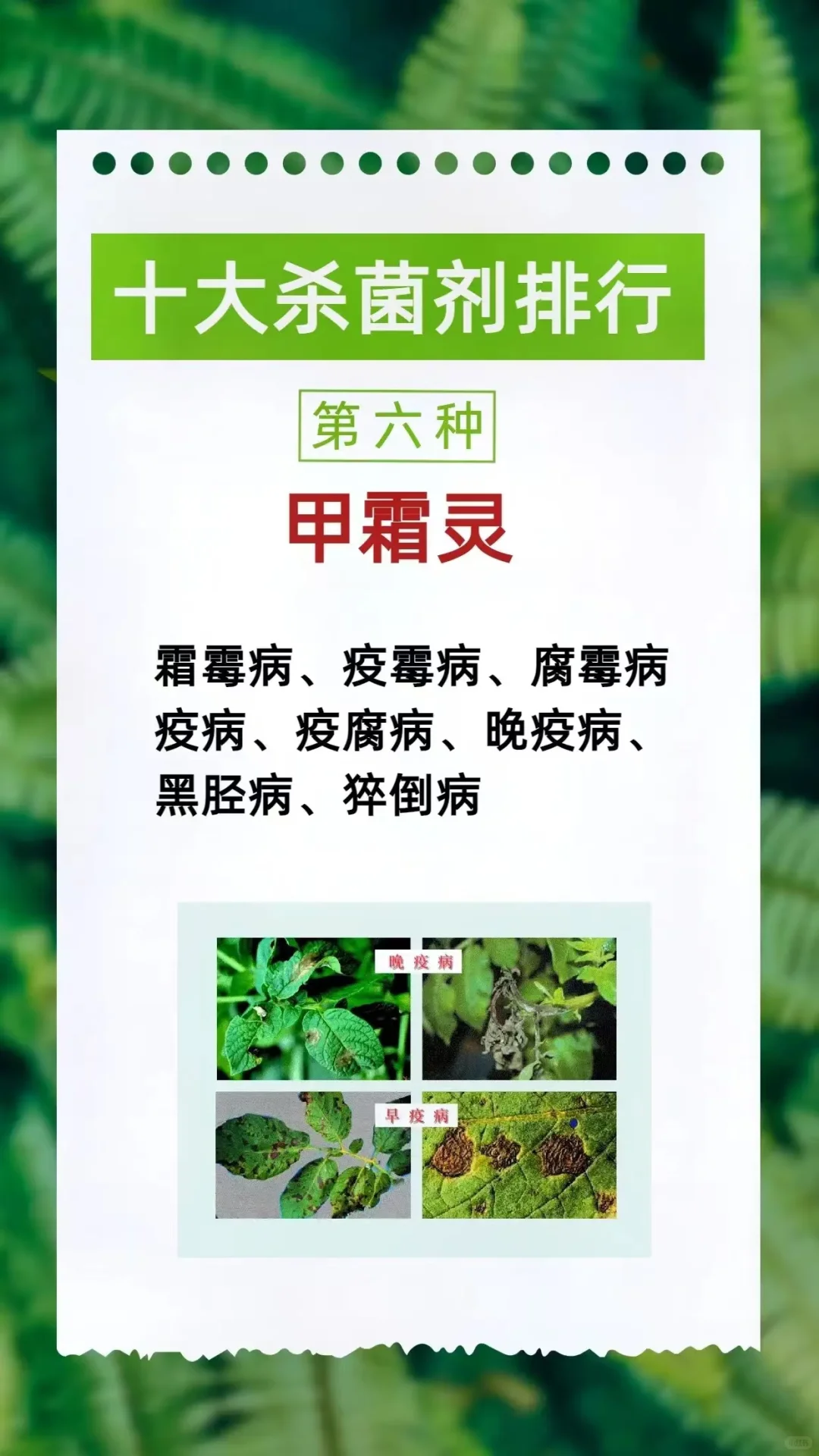 农作物植保中十大杀菌剂排行