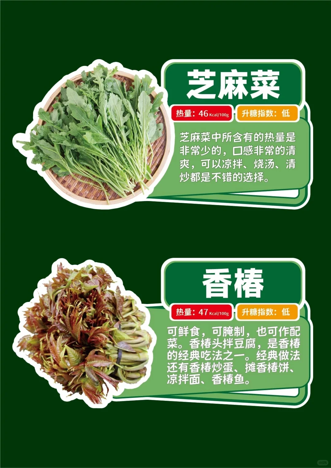 春季时令野菜手举牌