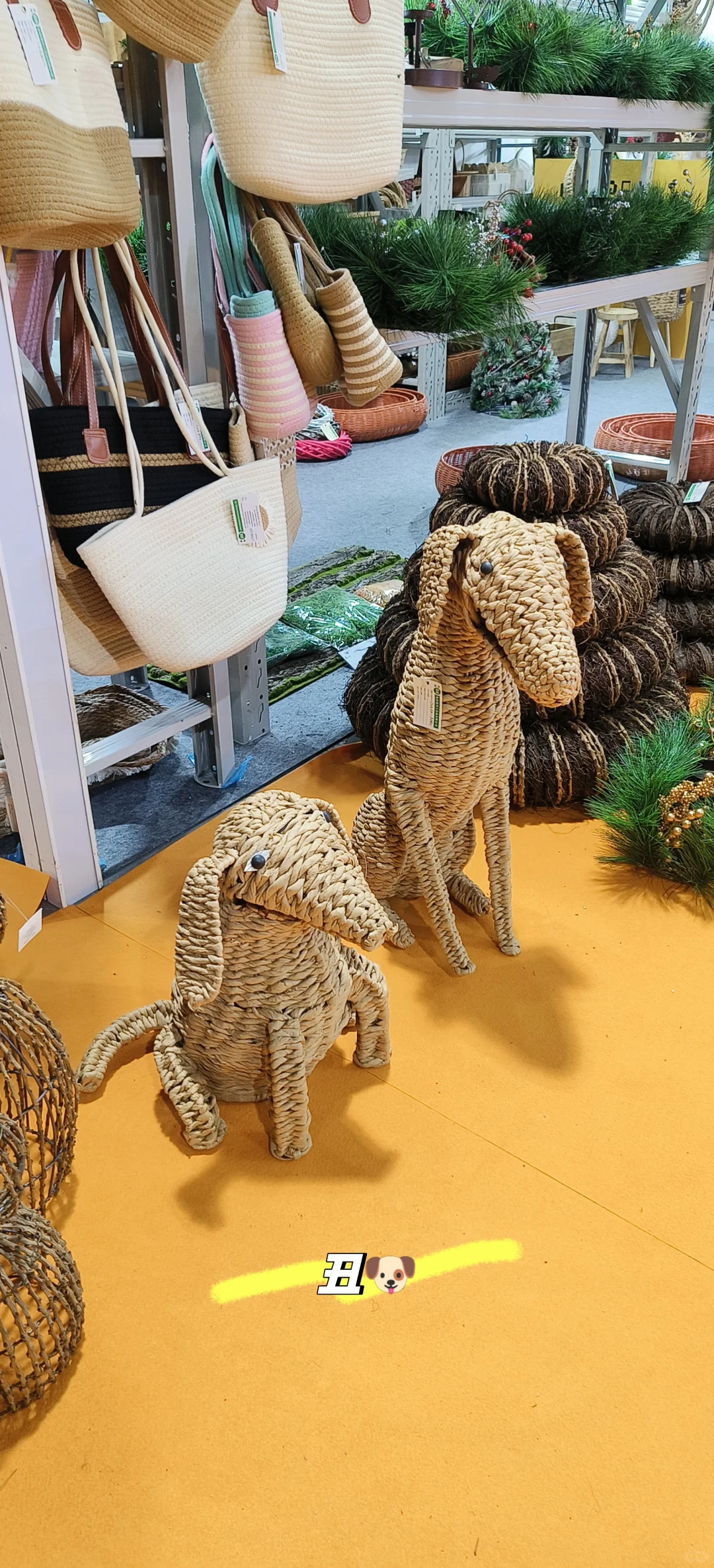 展会翻译兼职有感